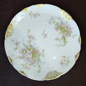 BEAUTIFUL Antique Theodore Haviland Limoges Plate, Late 1800s